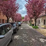 Lendelhaus & Historische Saftfabrik