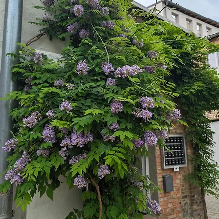 Lendelhaus & Historische Saftfabrik * 韦尔德尔