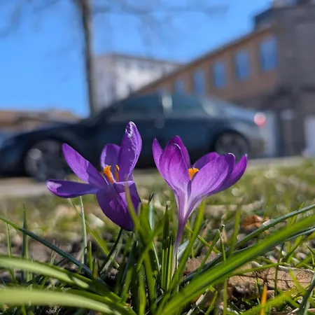 Lendelhaus&historische Saftfabrik