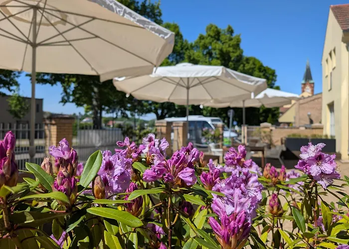 Lendelhaus & Historische Saftfabrik アパート ヴェルダー