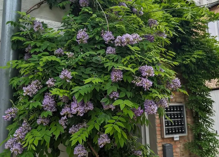 Lendelhaus & Historische Saftfabrik * ヴェルダー