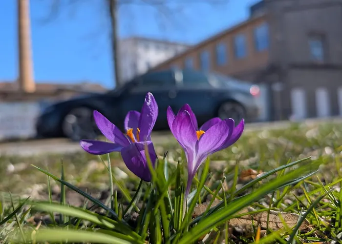 Lendelhaus & Historische Saftfabrik